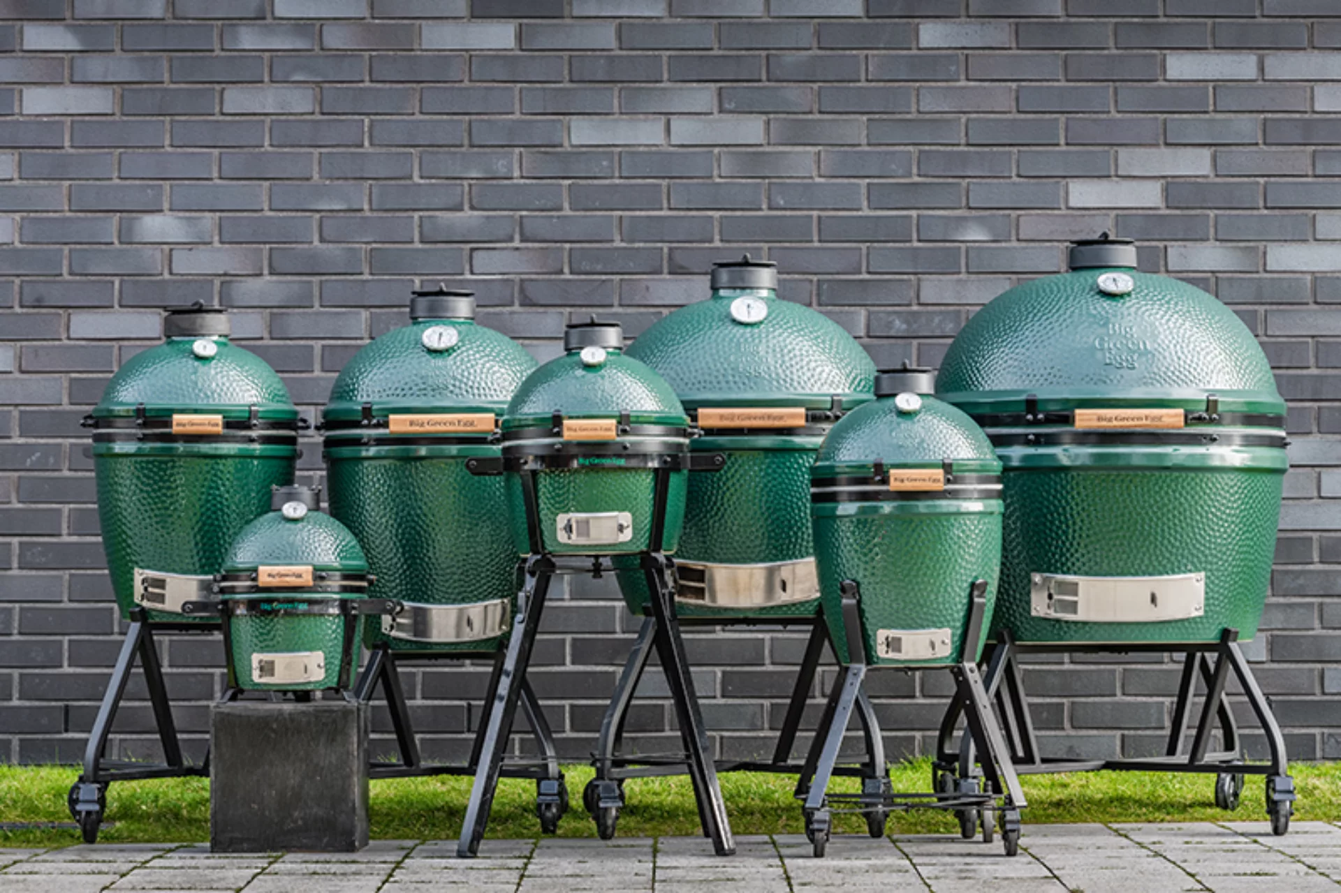 Green egg modellen